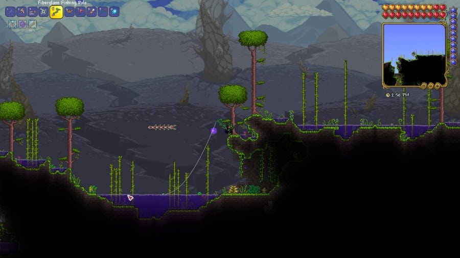 terraria fishing setup