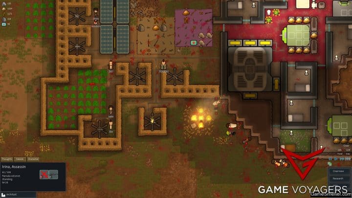 Why Won’t Animals Eat Kibble in Rimworld? How to Fix It