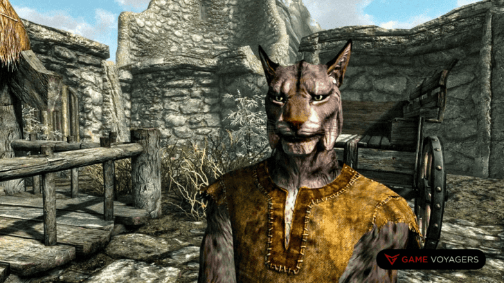 The Best Skyrim Races for 9 Different Playstyles
