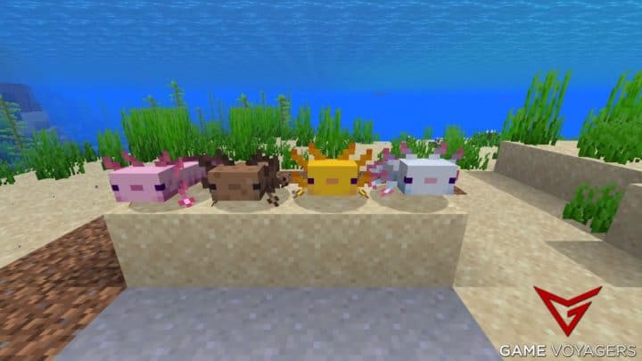 A Complete Guide to Axolotls In Minecraft