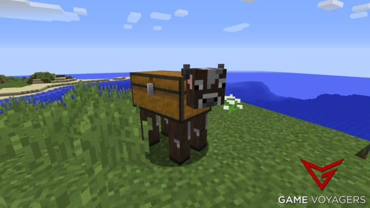 Do Cows Need Grass In Minecraft?