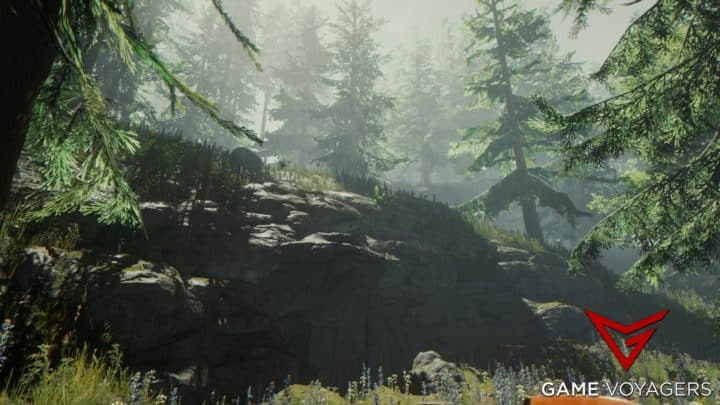The Forest All Cave Locations, Item Guide, Best Order
