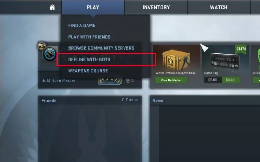 Bot Setup Screen in CSGO Offline