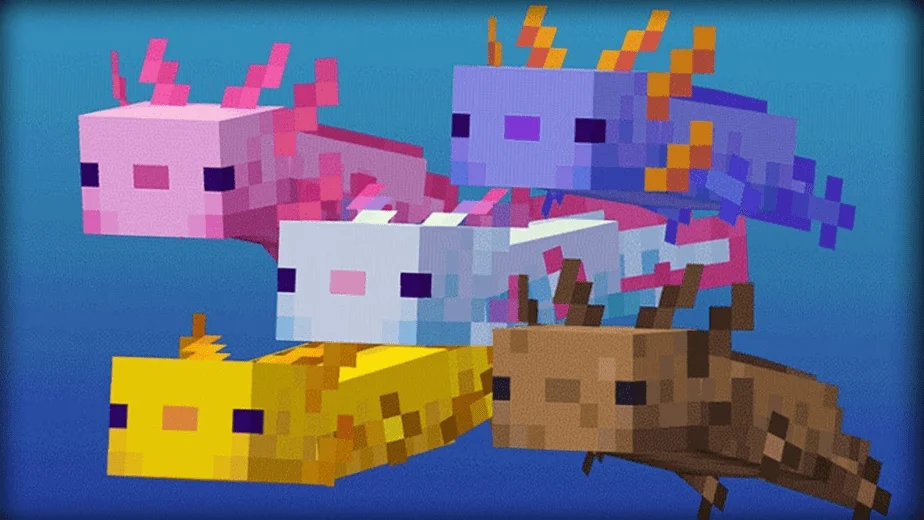 Axolotls in Minecraft