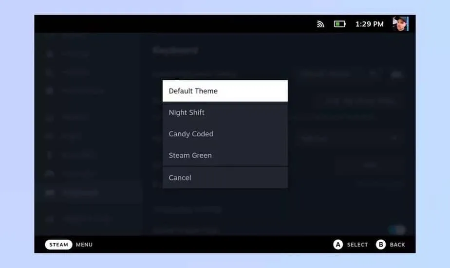 theme options