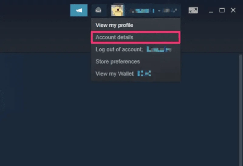 In the Top right-hand corner of Steam lies the Steam Wallet remaining funds section. It highlights how much money you have remaining. 