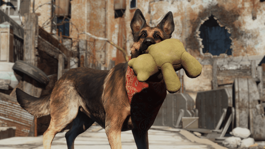 Dogmeat and teddy