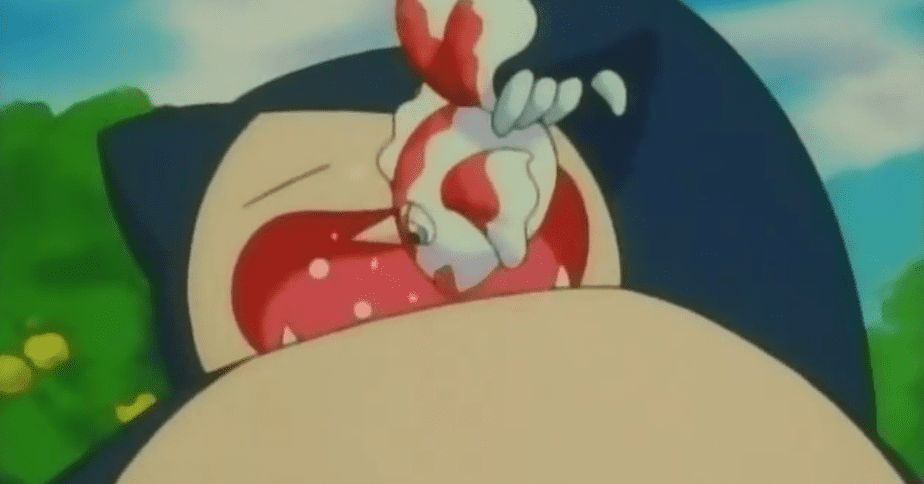 Snorlax attempting to eat Goldeen in the Pokemon Anime