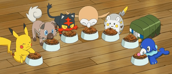 Pokemon from the Anime enjoying a meal