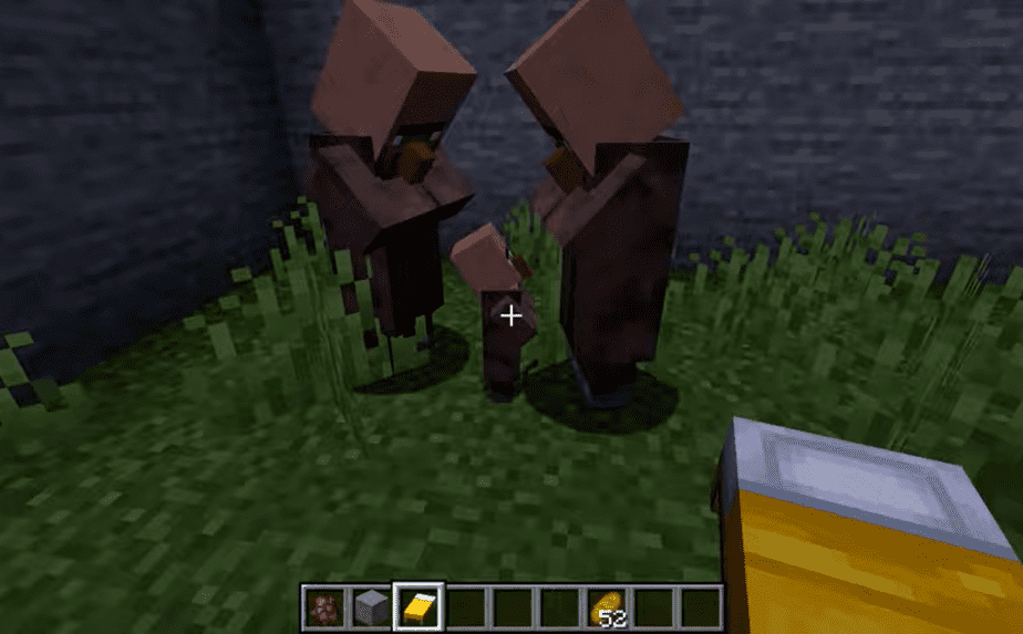 Baby Villagers can Grow in Minecraft