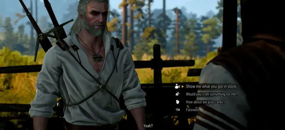 Witcher 3 talking to Blacksmith