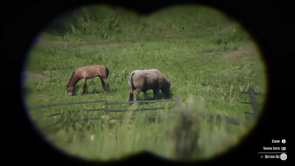 Viewing Animals through Binoculars - Red Dead Redemption 2