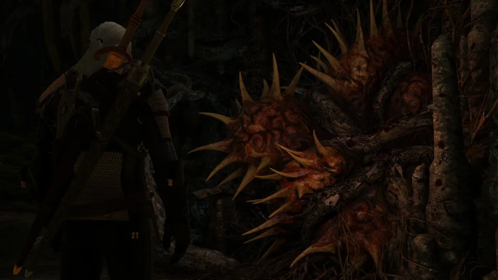 Tree Spirit's Fate in Witcher 3