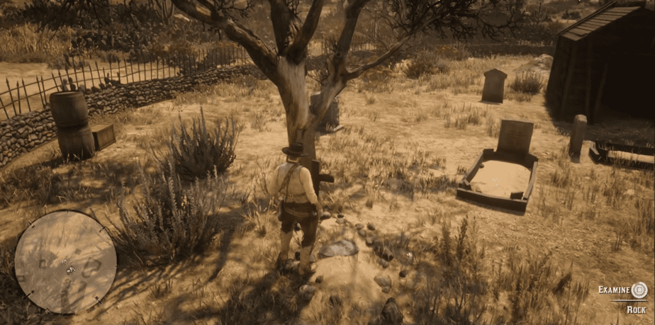 Search the rock under the tree - Red Dead Redemption 2 Gold Bars