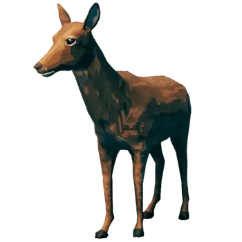 0 Star Deer