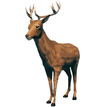 1 Star Deer