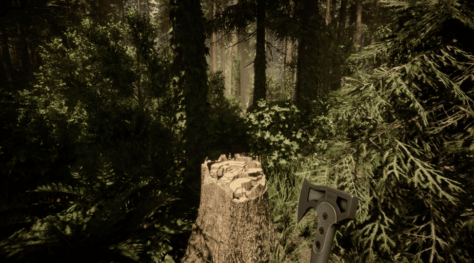 Trees Stumps in Sons of The Forest