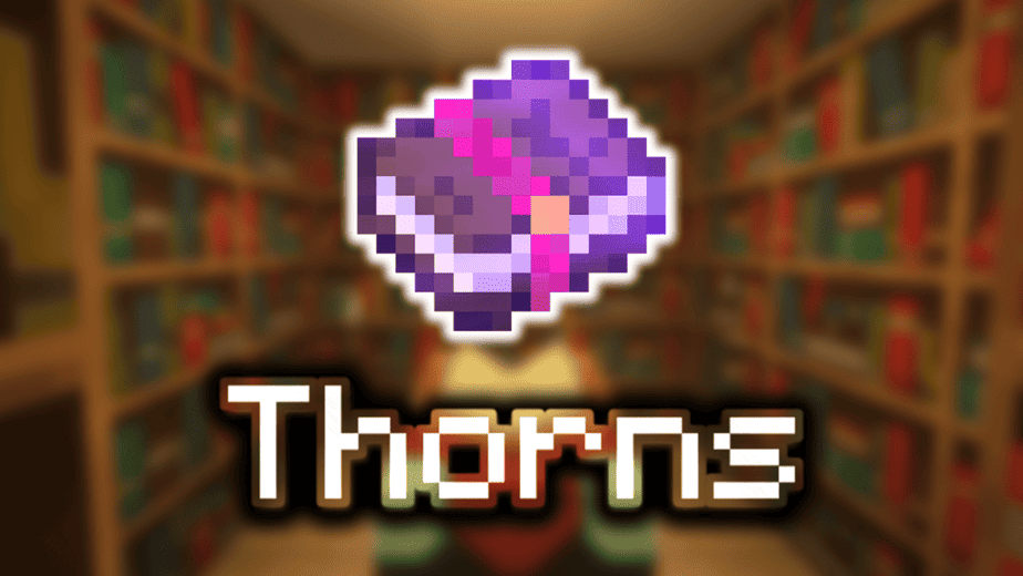 Thorns - Minecraft Enchantments 