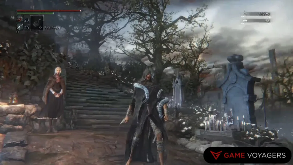 Bloodborne Madman Armor Set