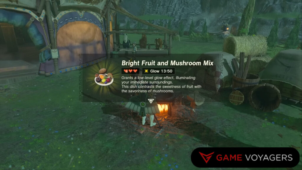 Special Effects food Zelda: Totk