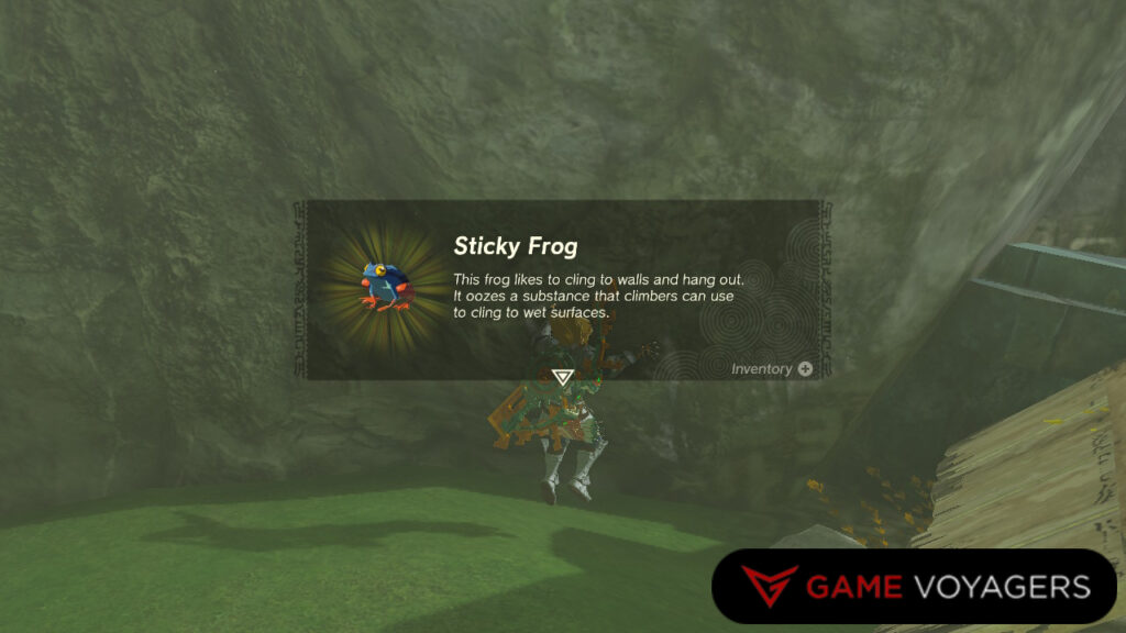 Sticky Frog - Zelda: Tears of the Kingdom