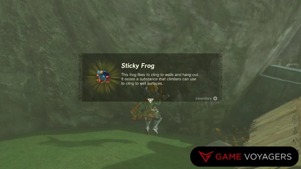 Sticky Frog - Zelda: Tears of the Kingdom