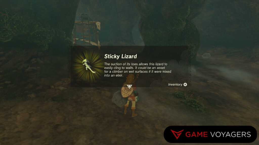 Sticky Lizard Zelda: Tears of the Kingdom