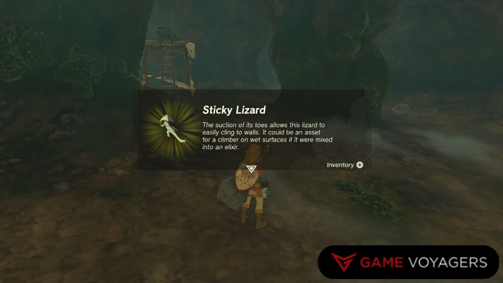 Sticky Lizard Zelda: Tears of the Kingdom