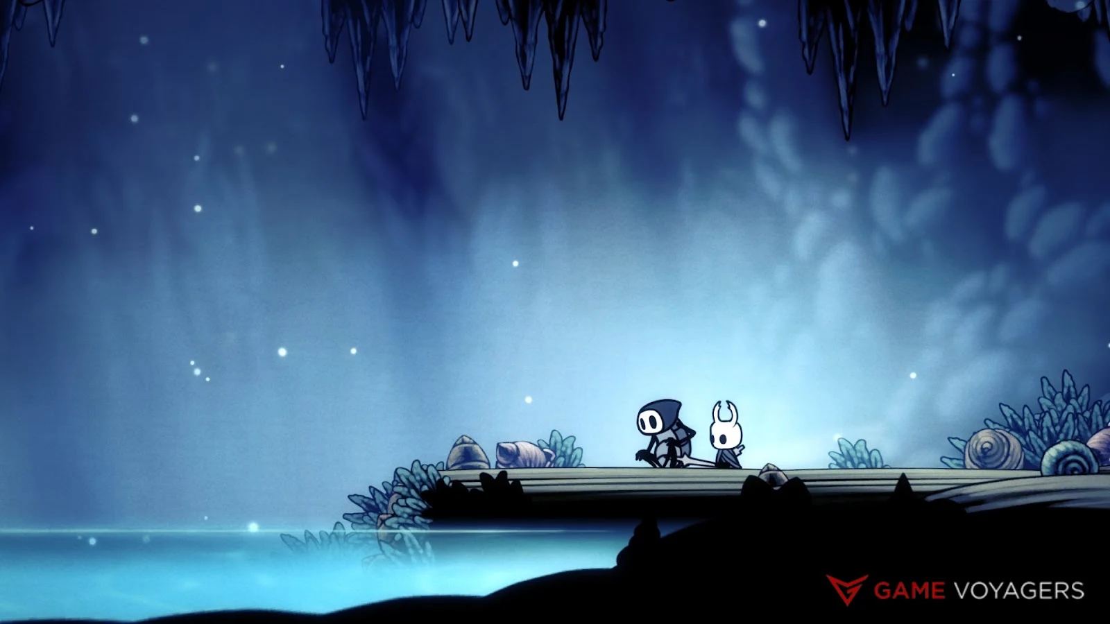 11. Hollow Knight