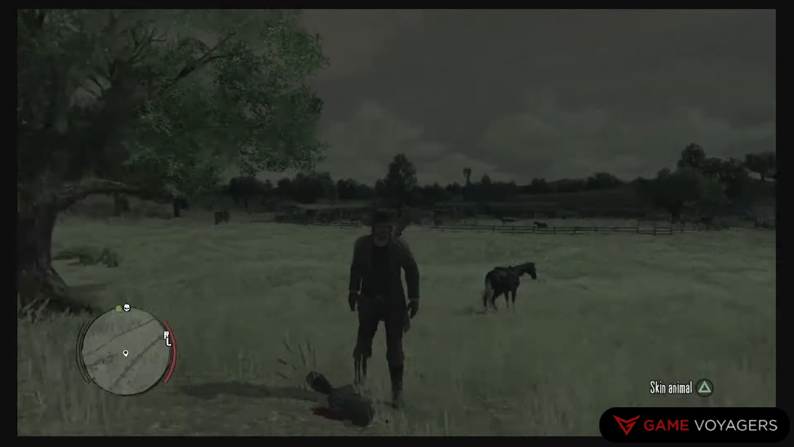 Raccoon Locations in Red Dead Redemption 