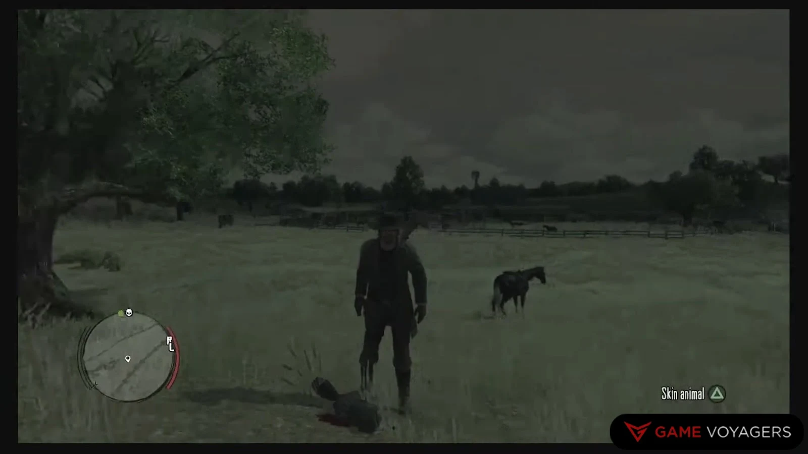 Raccoon Locations in Red Dead Redemption 